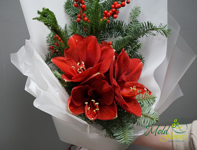 Bouquet with amaryllis and fir tree photo